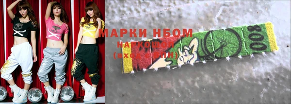индика Сосновка